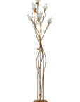 Altissima Fiori