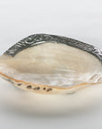 Shell Dish