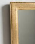 Gold Framed Mirror