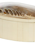 Oval Shell Box