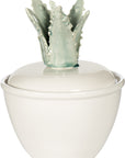 Small Cactus Top Cannister