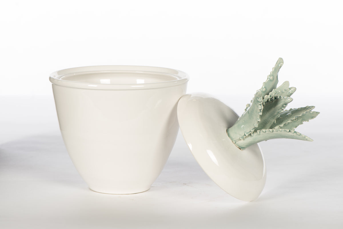 Large Cactus Top Cannister