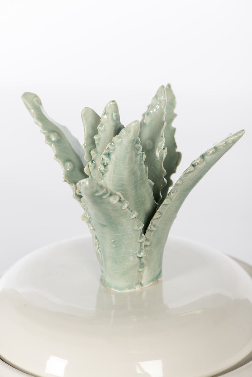 Large Cactus Top Cannister