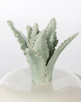 Small Cactus Top Cannister