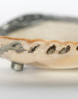 Shell Dish