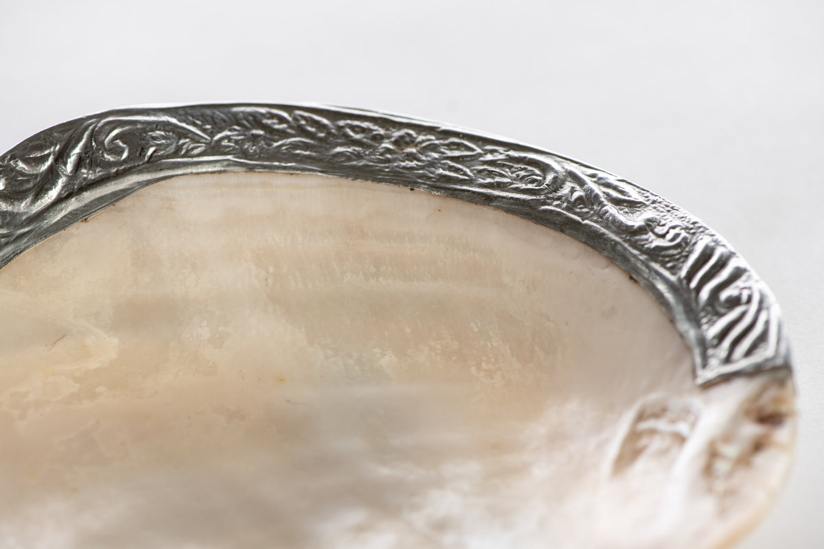 Shell Dish