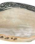 Shell Dish