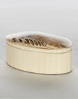 Oval Shell Box