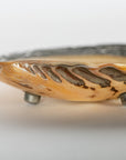 Shell Dish