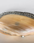 Shell Dish
