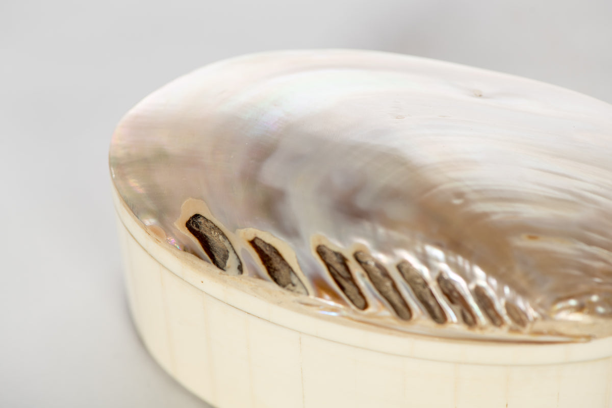 Oval Shell Box