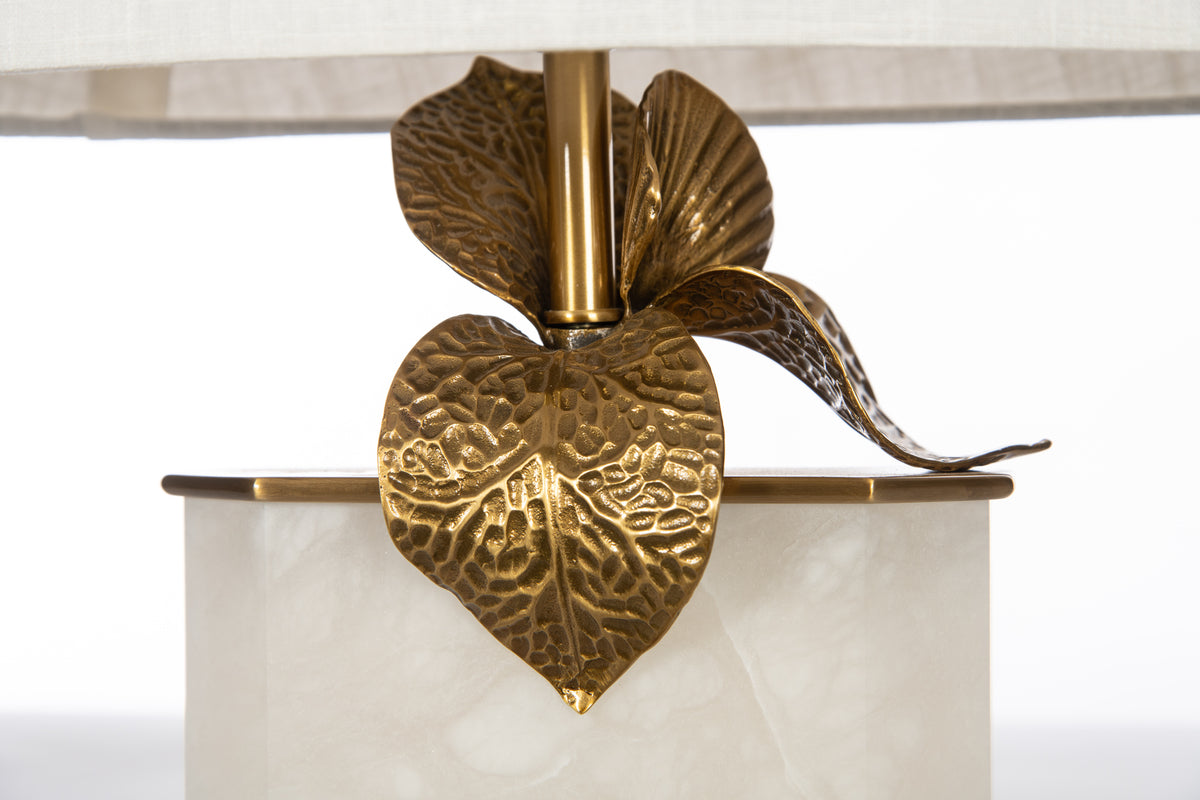 Cymbidium Alabaster