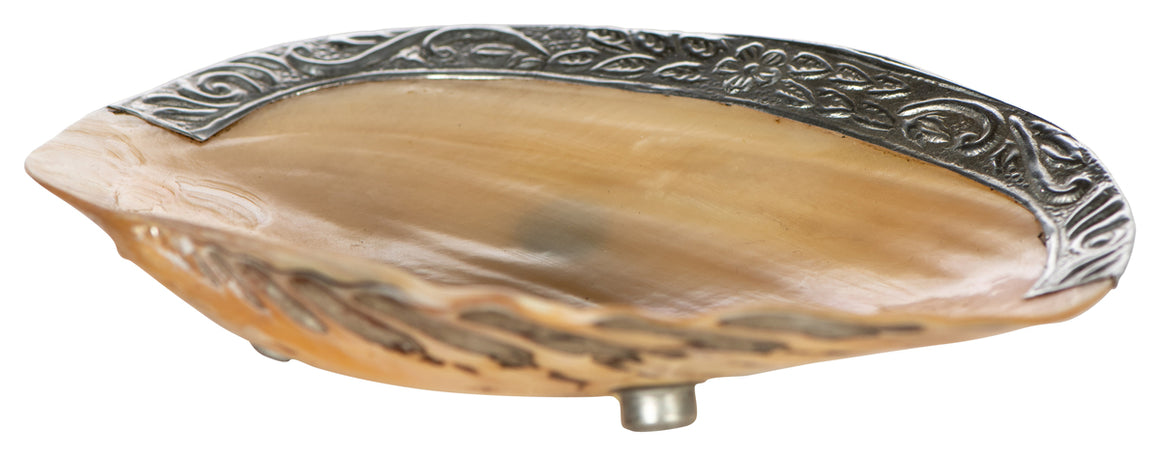 Shell Dish