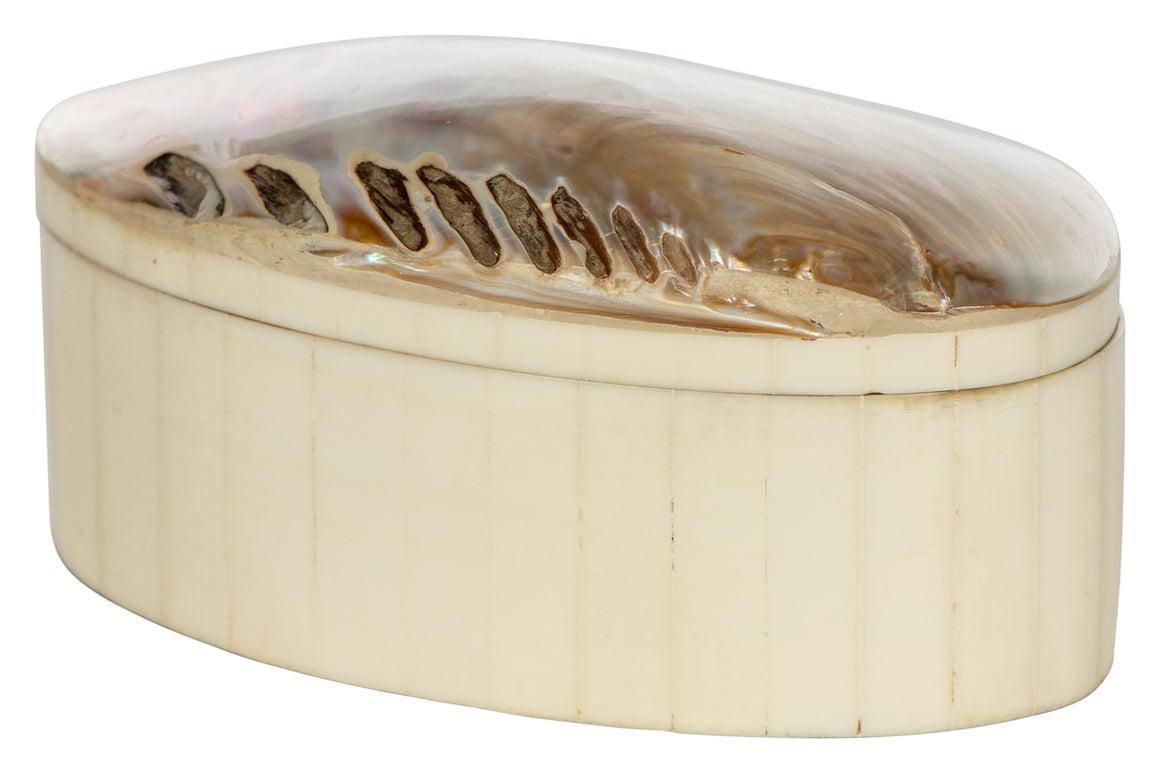 Oval Shell Box