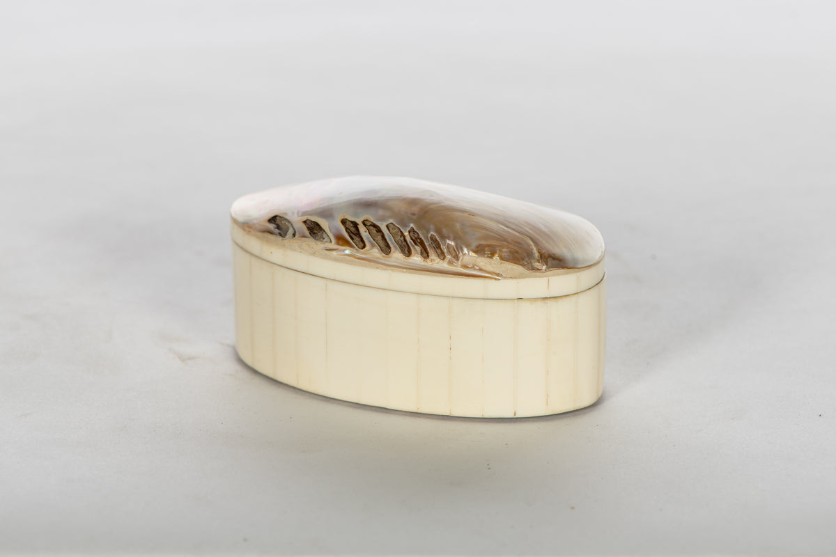 Oval Shell Box