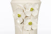 Spring Dogwood