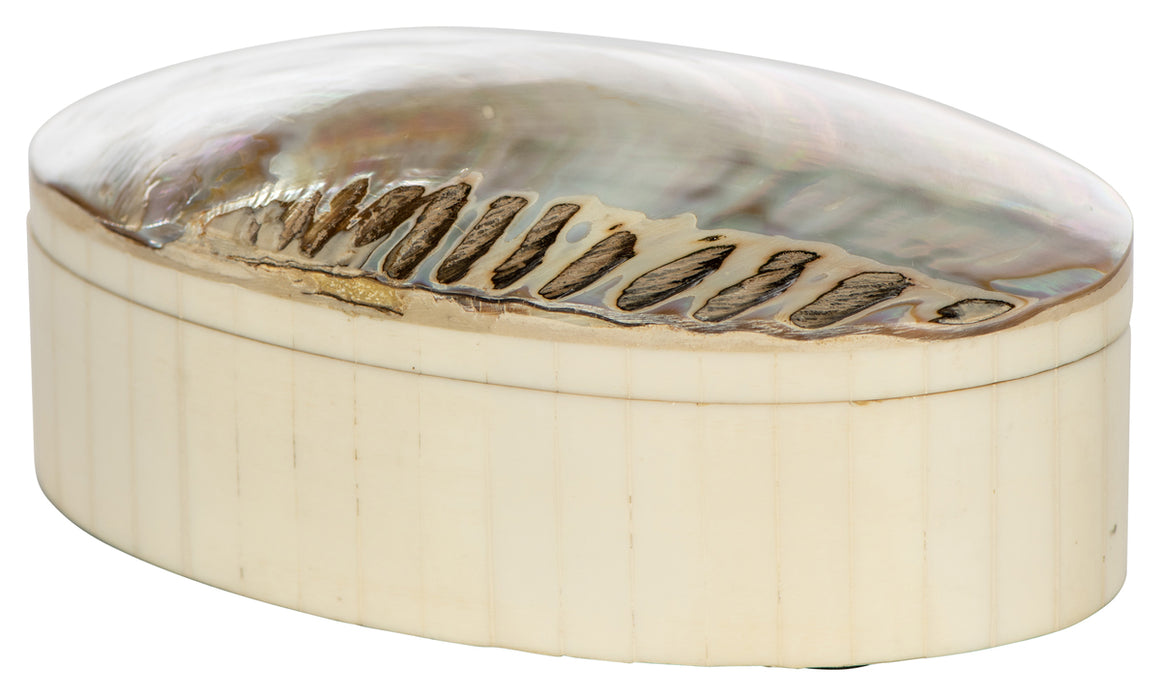 Oval Shell Box