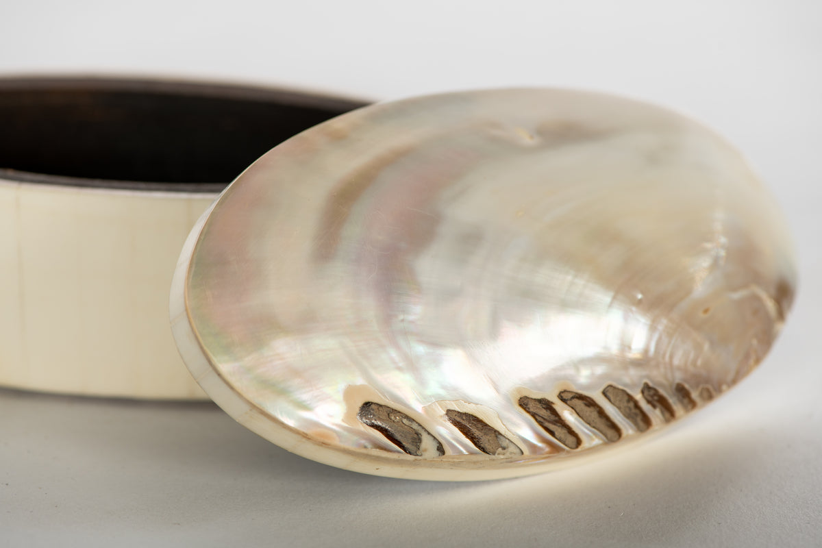 Oval Shell Box